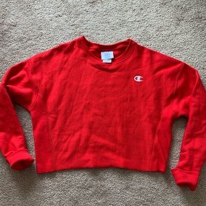cropped sweatshirt (champion)